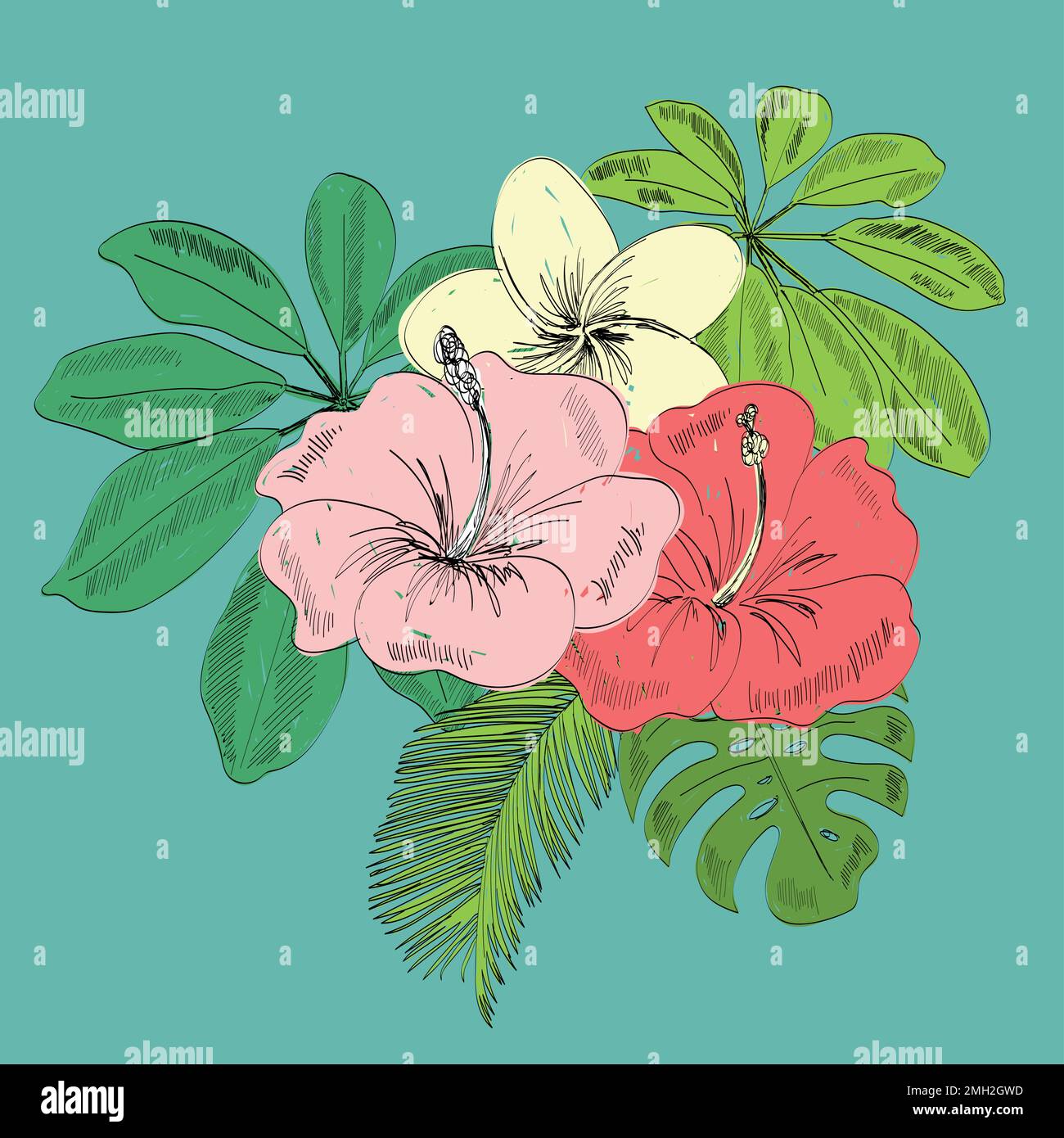 Tropical vector illustration Stock Vector Image & Art - Alamy