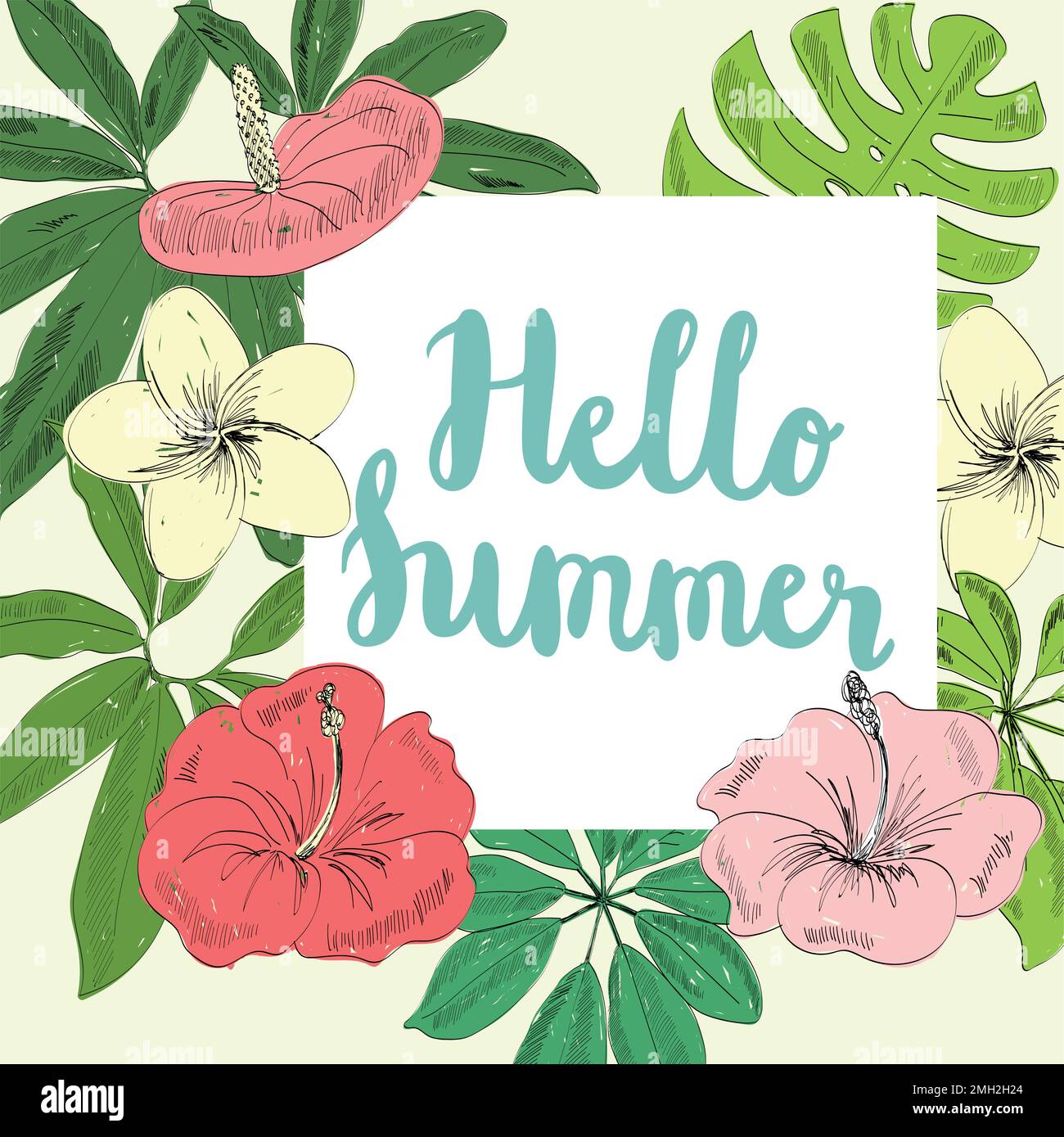 Tropical vector illustration Stock Vector Image & Art - Alamy