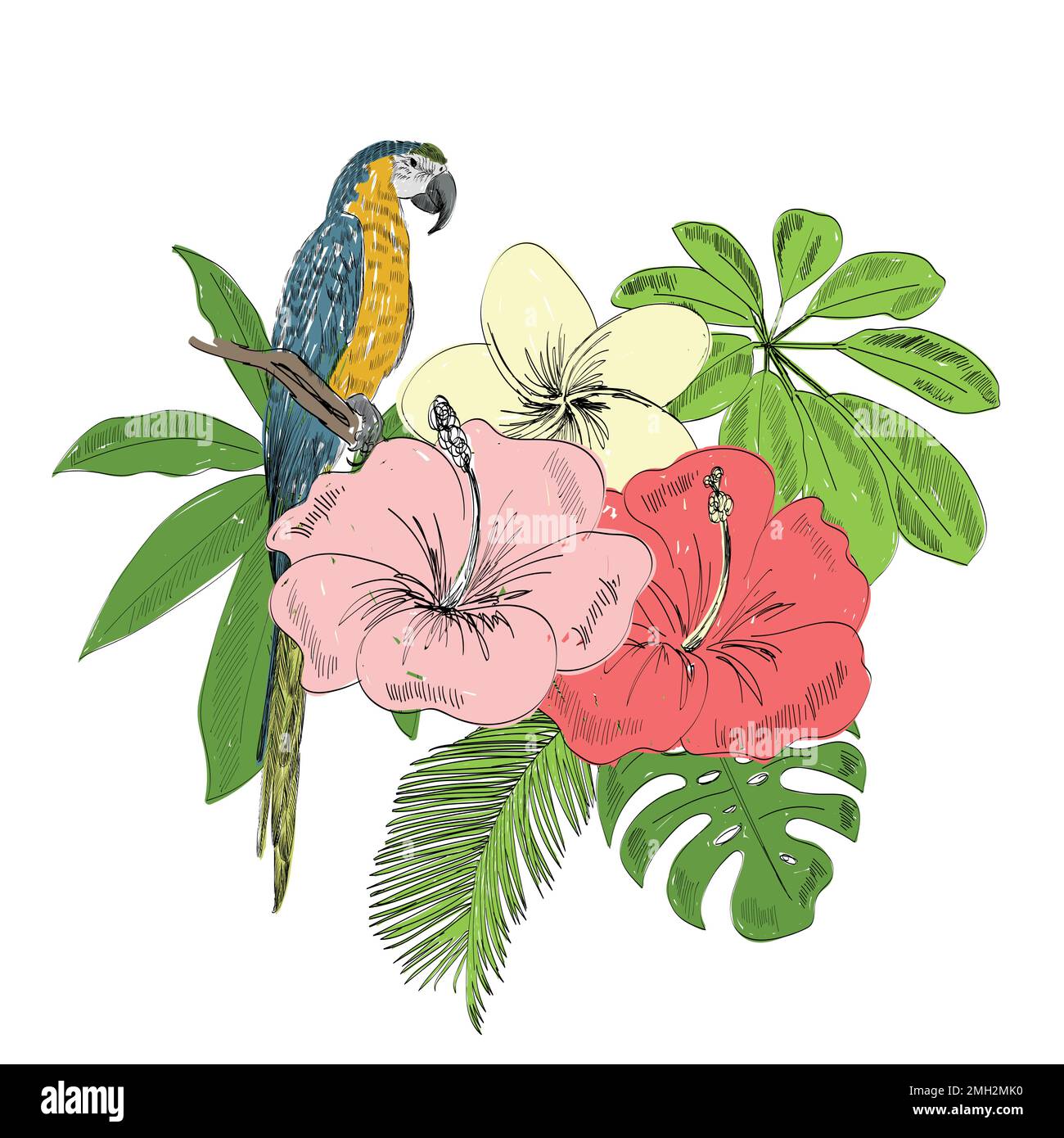 Tropical vector illustration Stock Vector Image & Art - Alamy