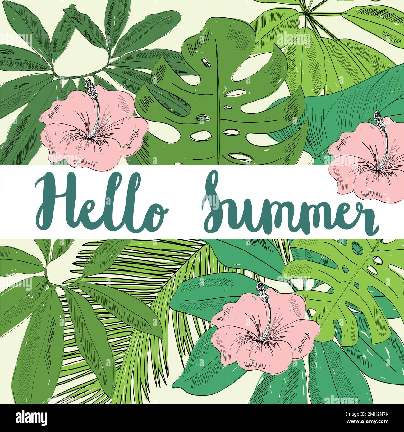 Tropical vector illustration Stock Vector Image & Art - Alamy