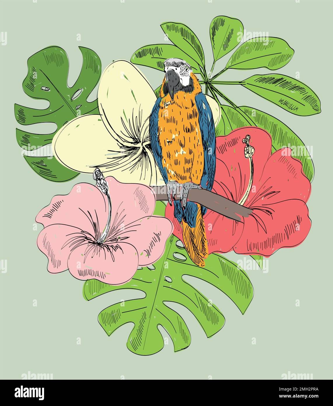 Tropical vector illustration Stock Vector Image & Art - Alamy