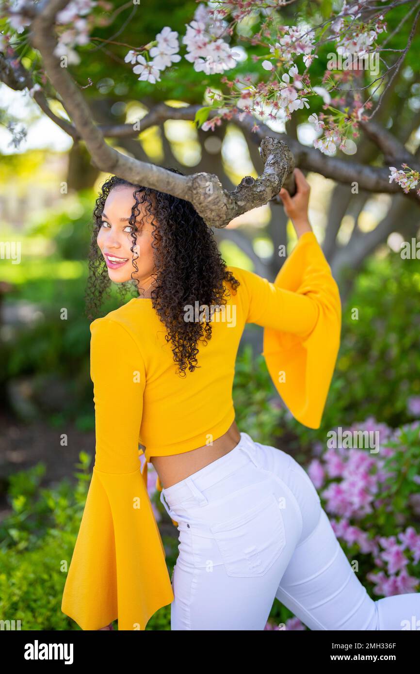 Back View 3/4 Body Portrait of Beautiful Young African American Woman Kicking Leg Back and Holding Blossom Cherry Tree Branch - Spring Stock Photo