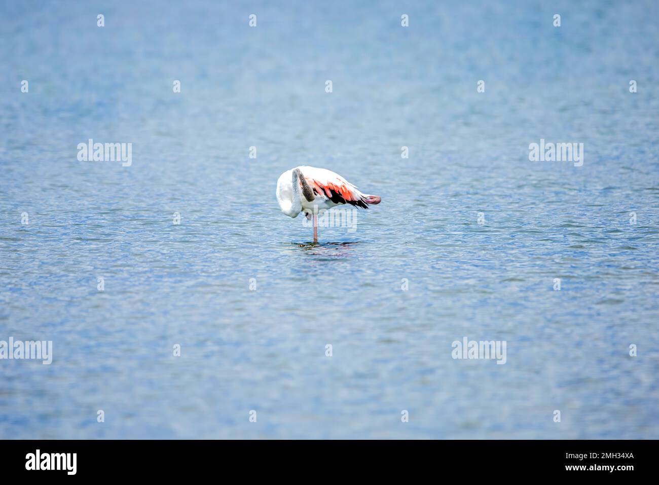 Greece bonaire hi-res stock photography and images - Alamy