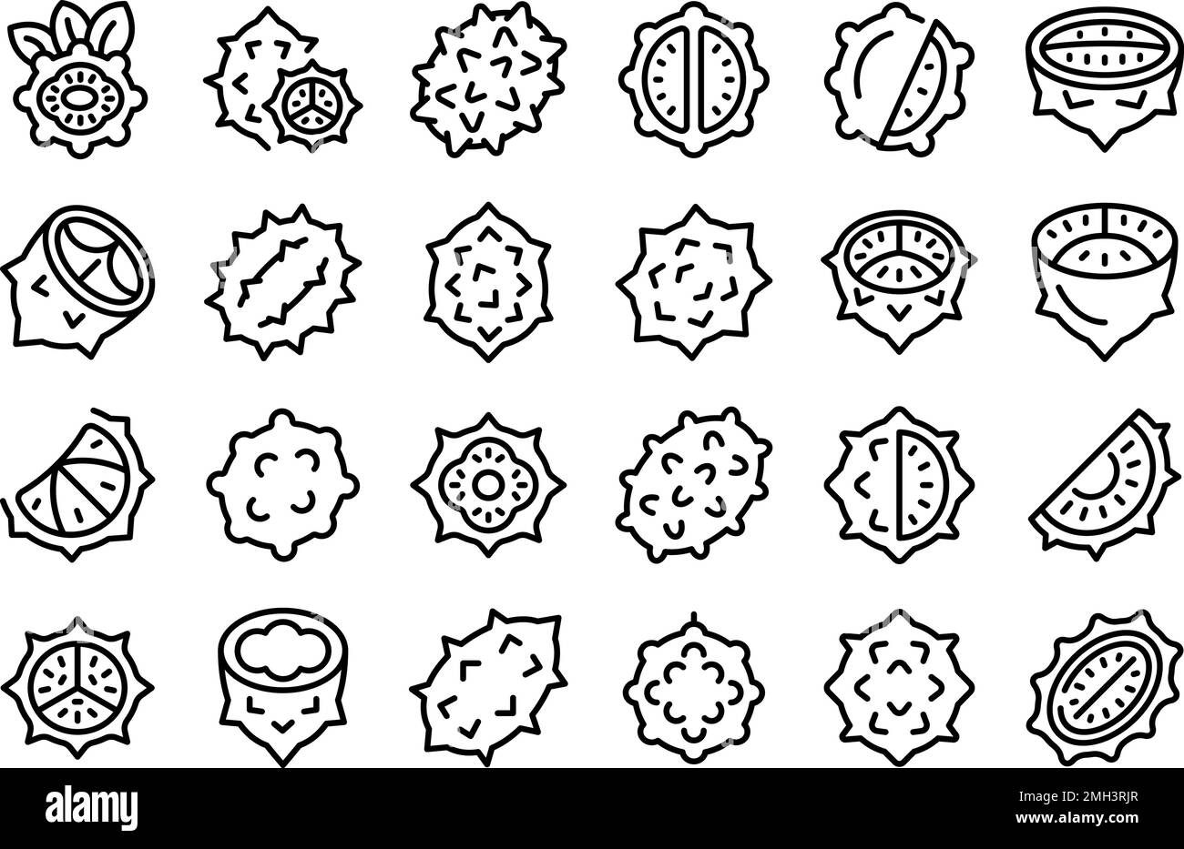 Kiwano icons set outline vector. Natural food. Flower melon Stock