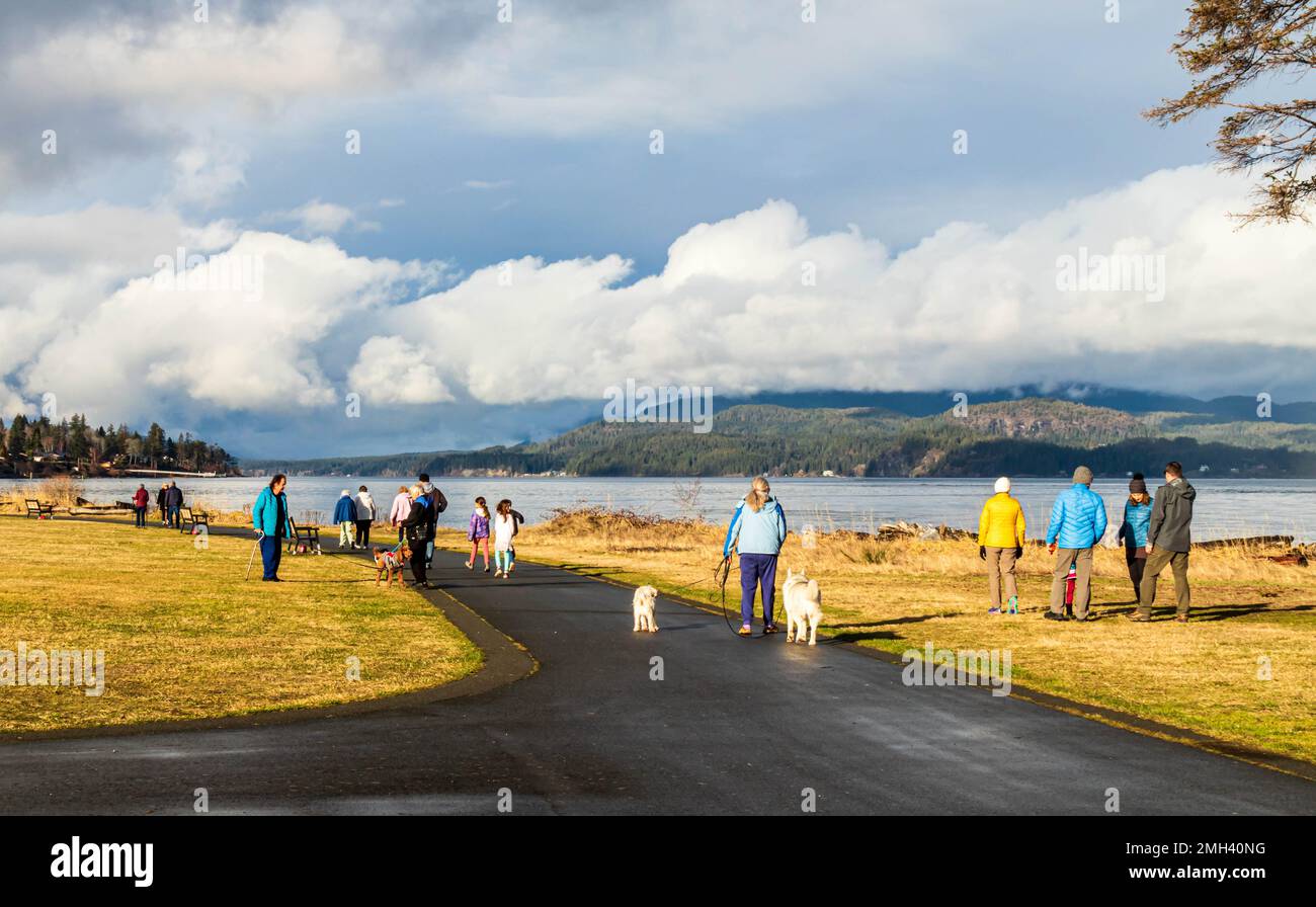 A sunny winter day on Vancouver Island with healthy active people walking dogs and socializing at a waterfront park in Campbell River. Stock Photo