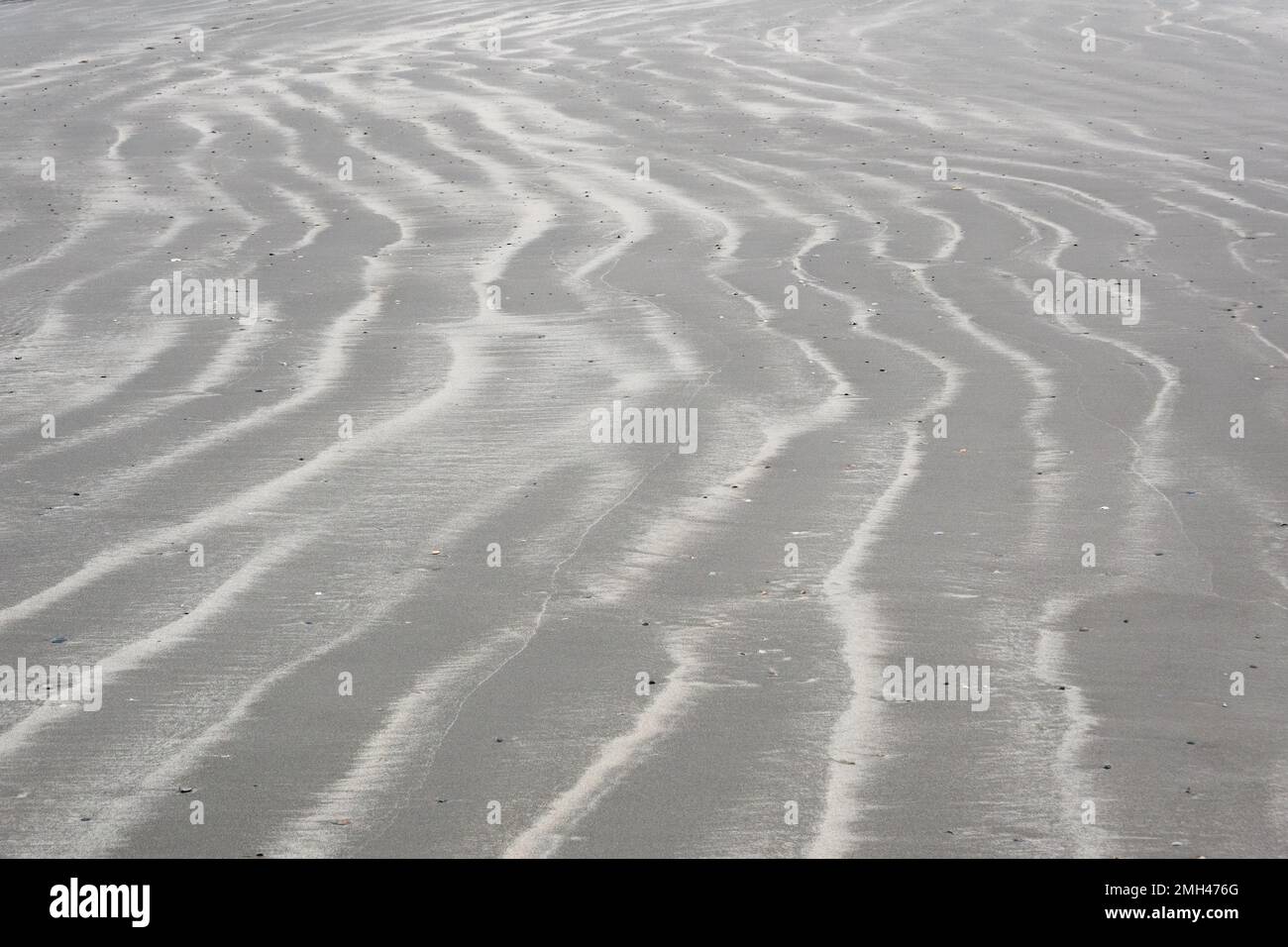 Beach, wavy pattern of sand and white material, consisting of small fragments of shells Stock Photo