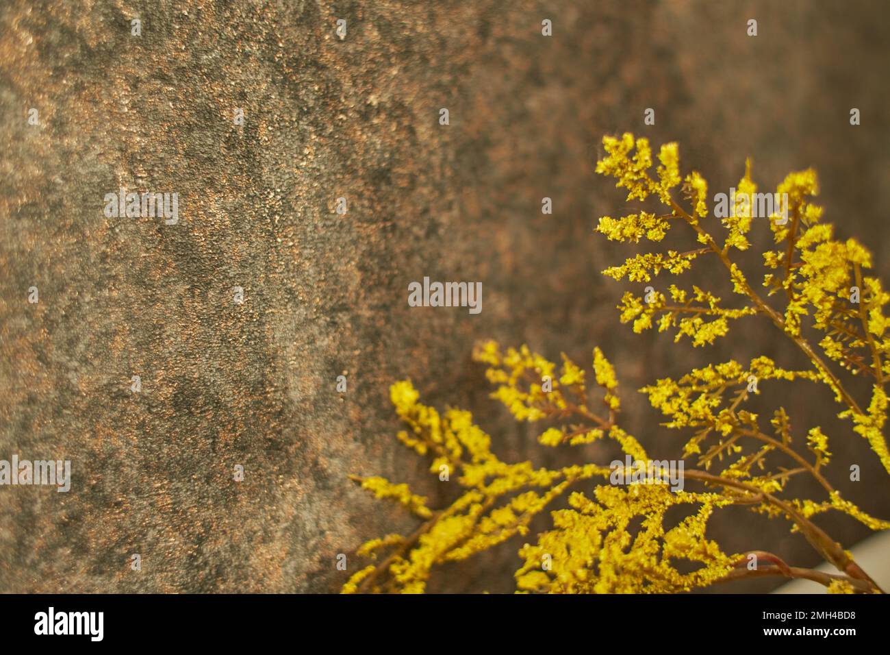 Golden orange yellow abstract hi-res stock photography and images - Alamy
