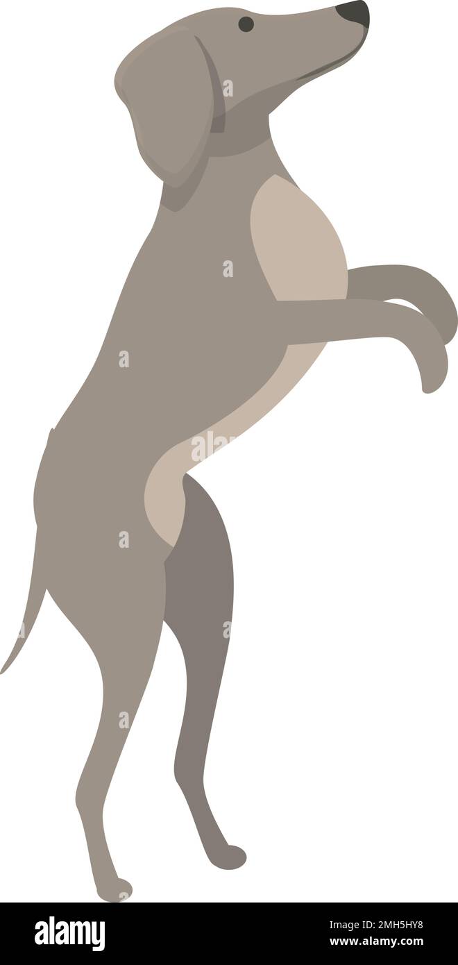 Greyhound leg Stock Vector Images Alamy