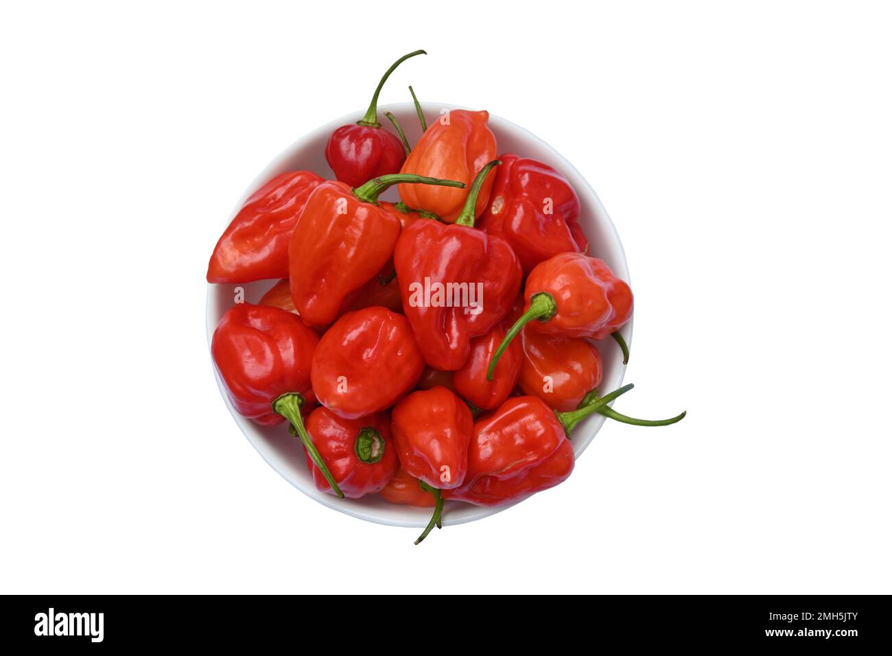 Overhead view of ripen Capsicum Chinense chili pepper pods put in a small white ceramic bowl in isolated background Stock Photo
