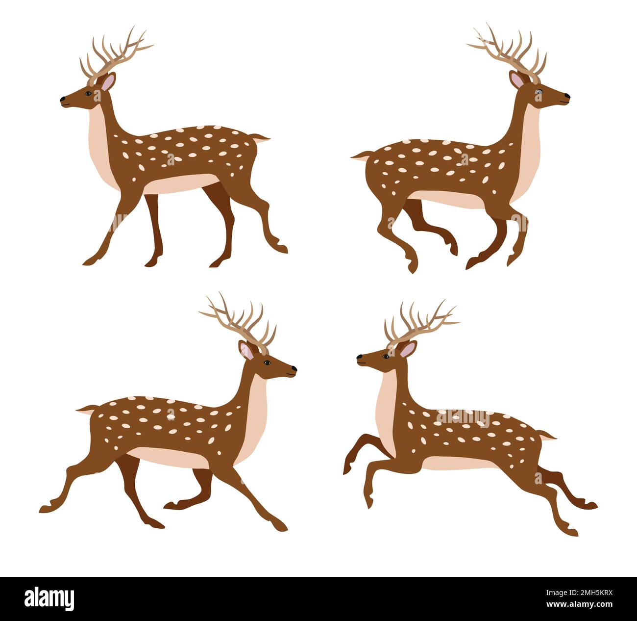 Vector set of flat hand drawn deer isolated on white background Stock ...