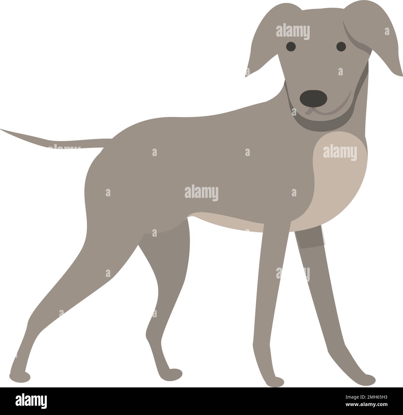 Greyhound kid icon cartoon vector. Animal dog. Tail race Stock Vector