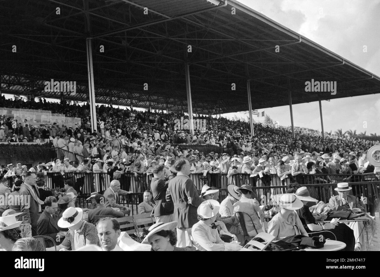 Grandstand and crowd grandstand and crowd hi-res stock photography and ...