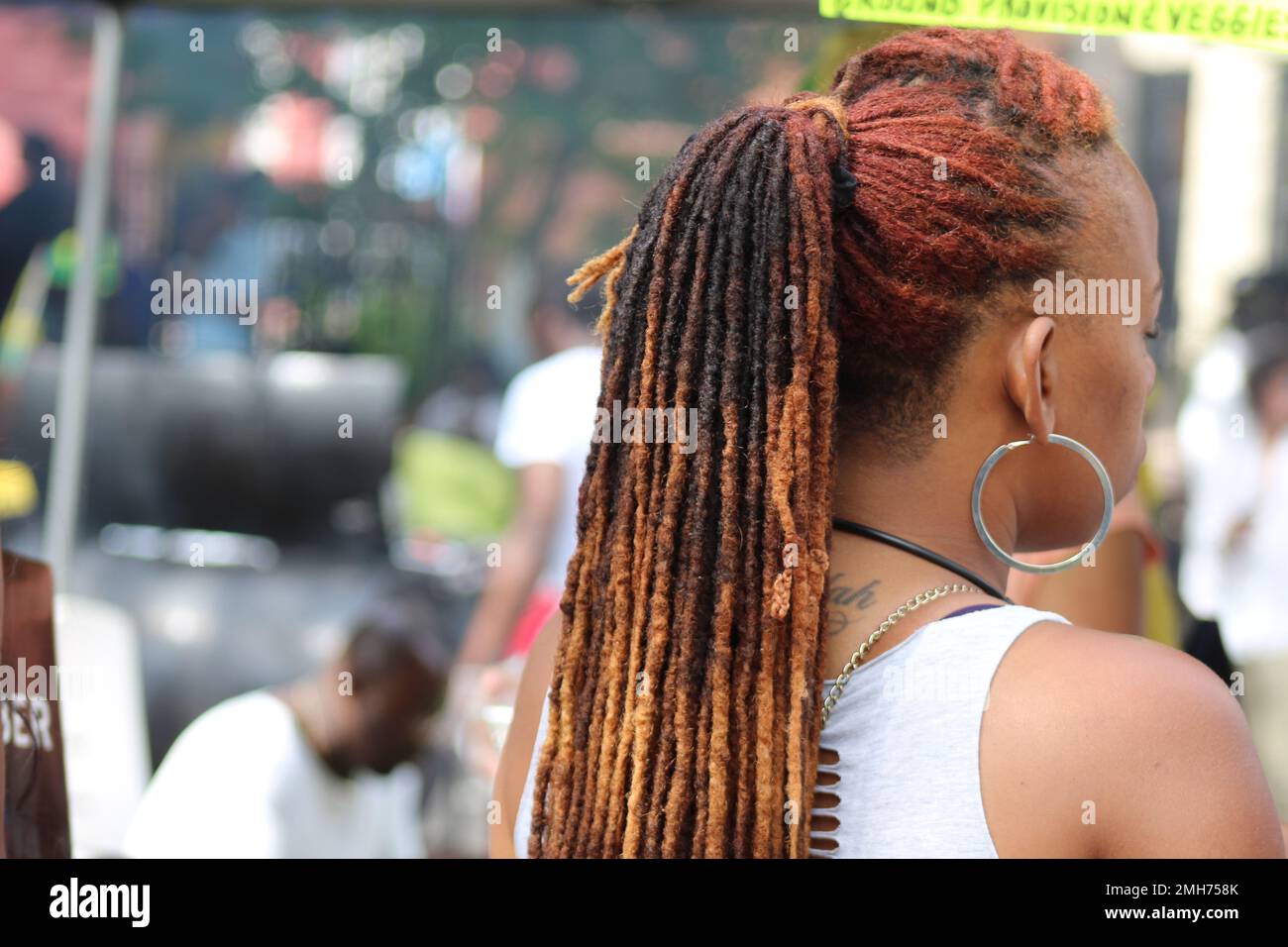 Beautifully colored long dreadlock hair, put up in a ponytail and long down to the back Stock Photo