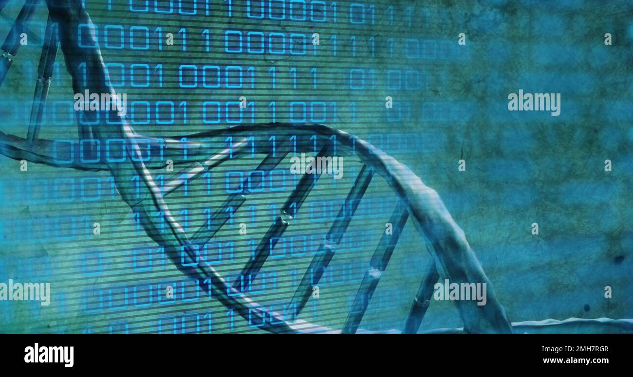Binary code over dna hi-res stock photography and images - Alamy