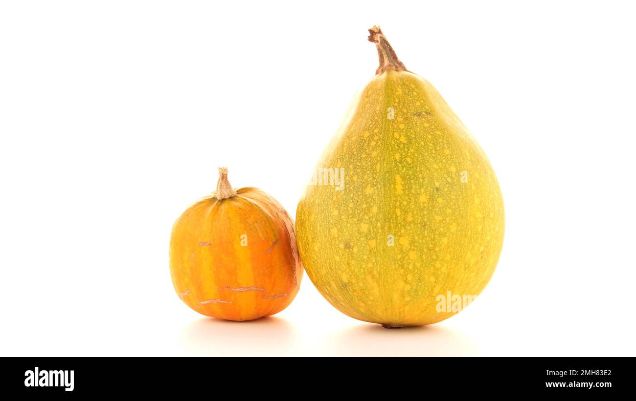Three whole pumpkins on Cut Out Stock Images & Pictures - Alamy