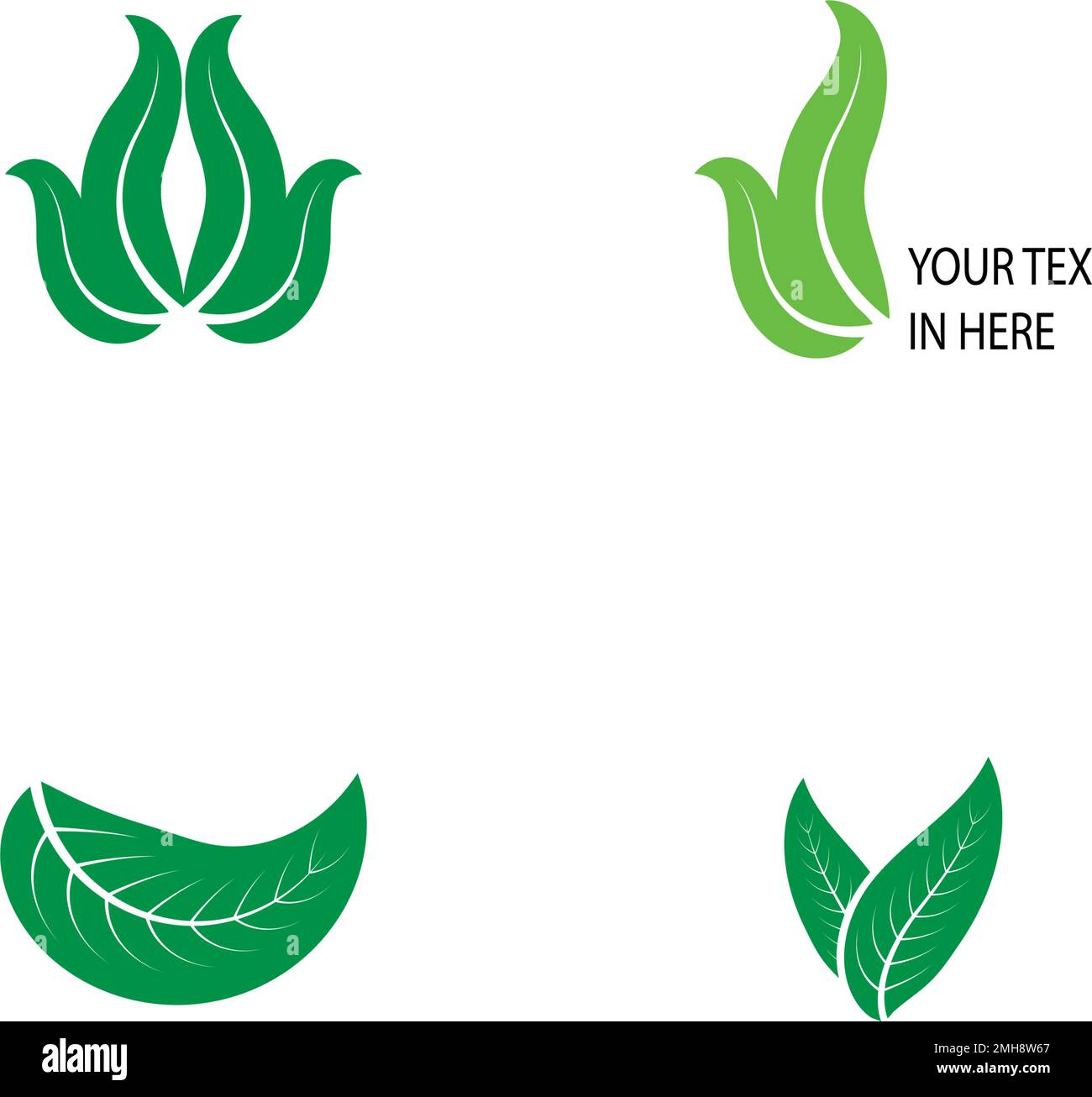 leaf logo icon vektor illustration design Stock Vector Image & Art - Alamy