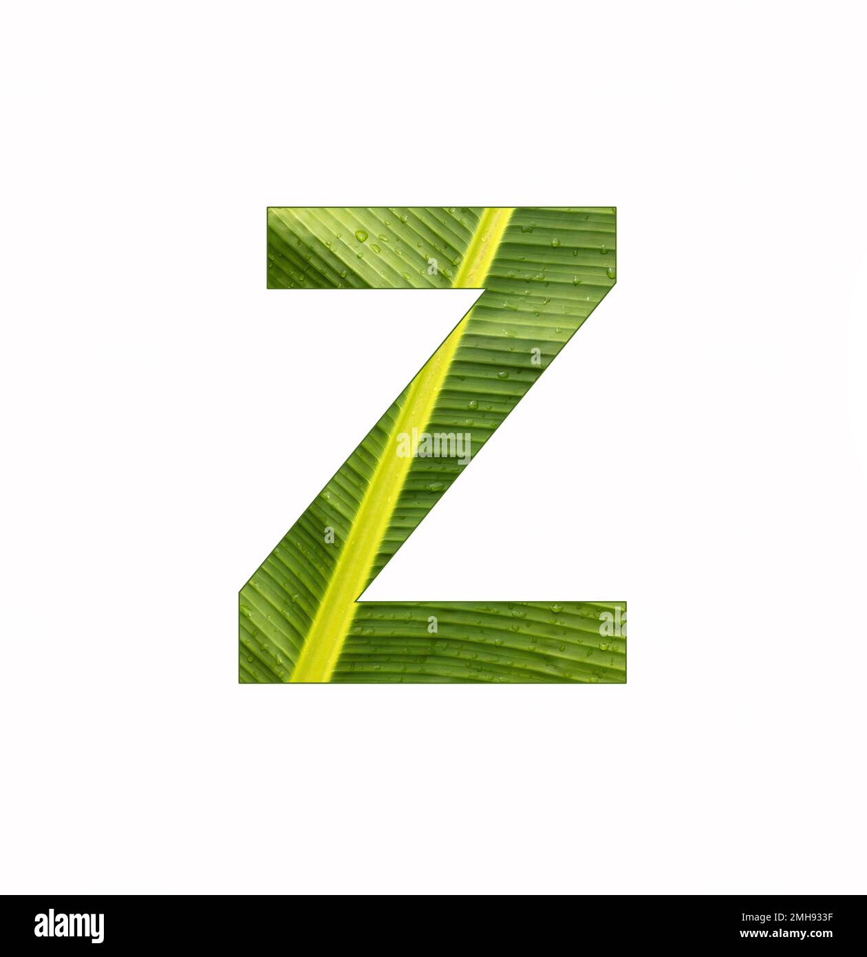 Alphabet Letter Z - Banana plant leaf background Stock Photo