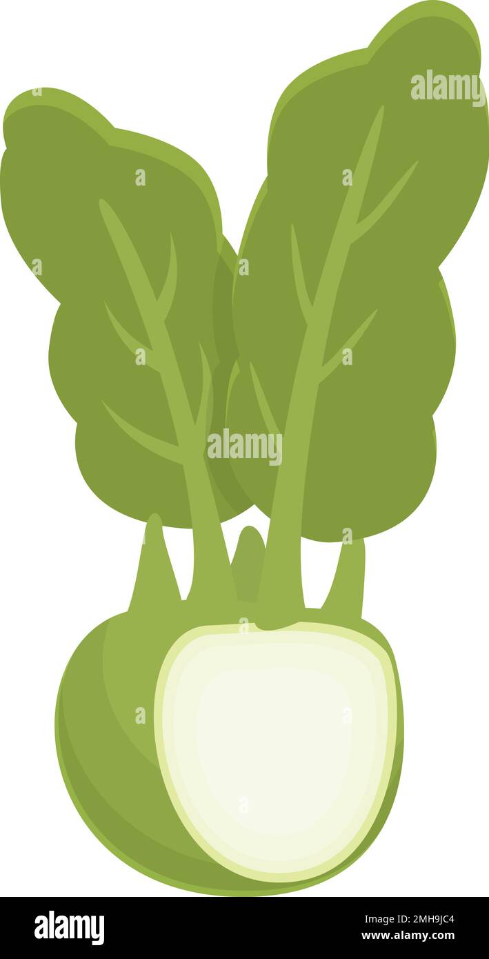 Healthy kohlrabi icon cartoon vector. Vegetable food. Natural plant ...