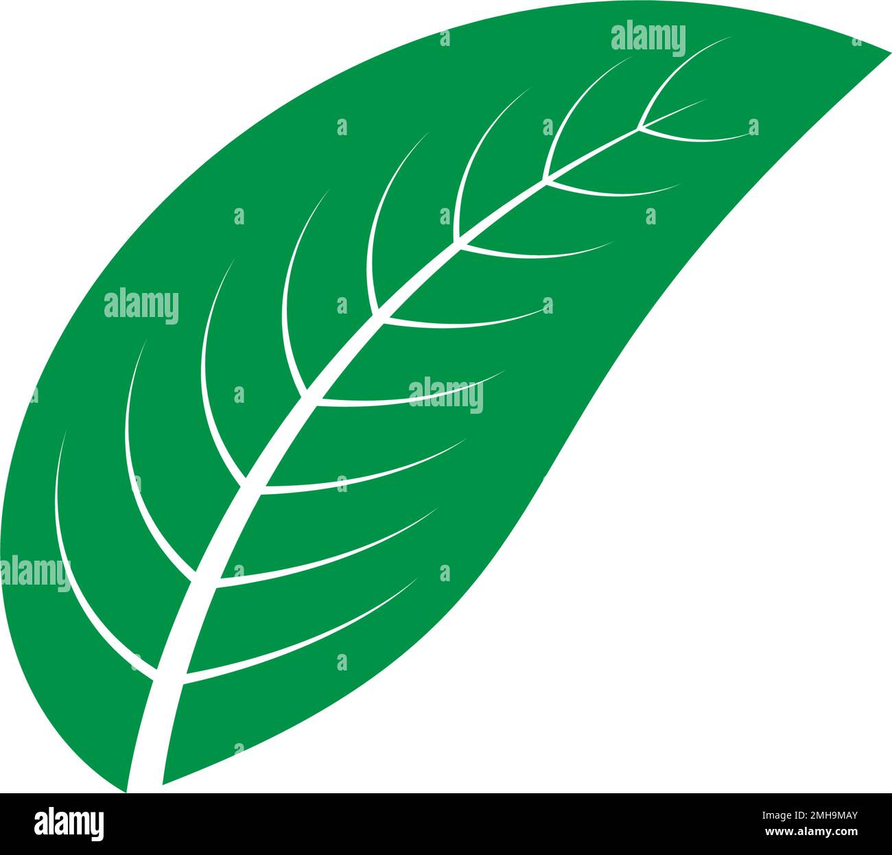 leaf logo icon vektor illustration design Stock Vector Image & Art - Alamy