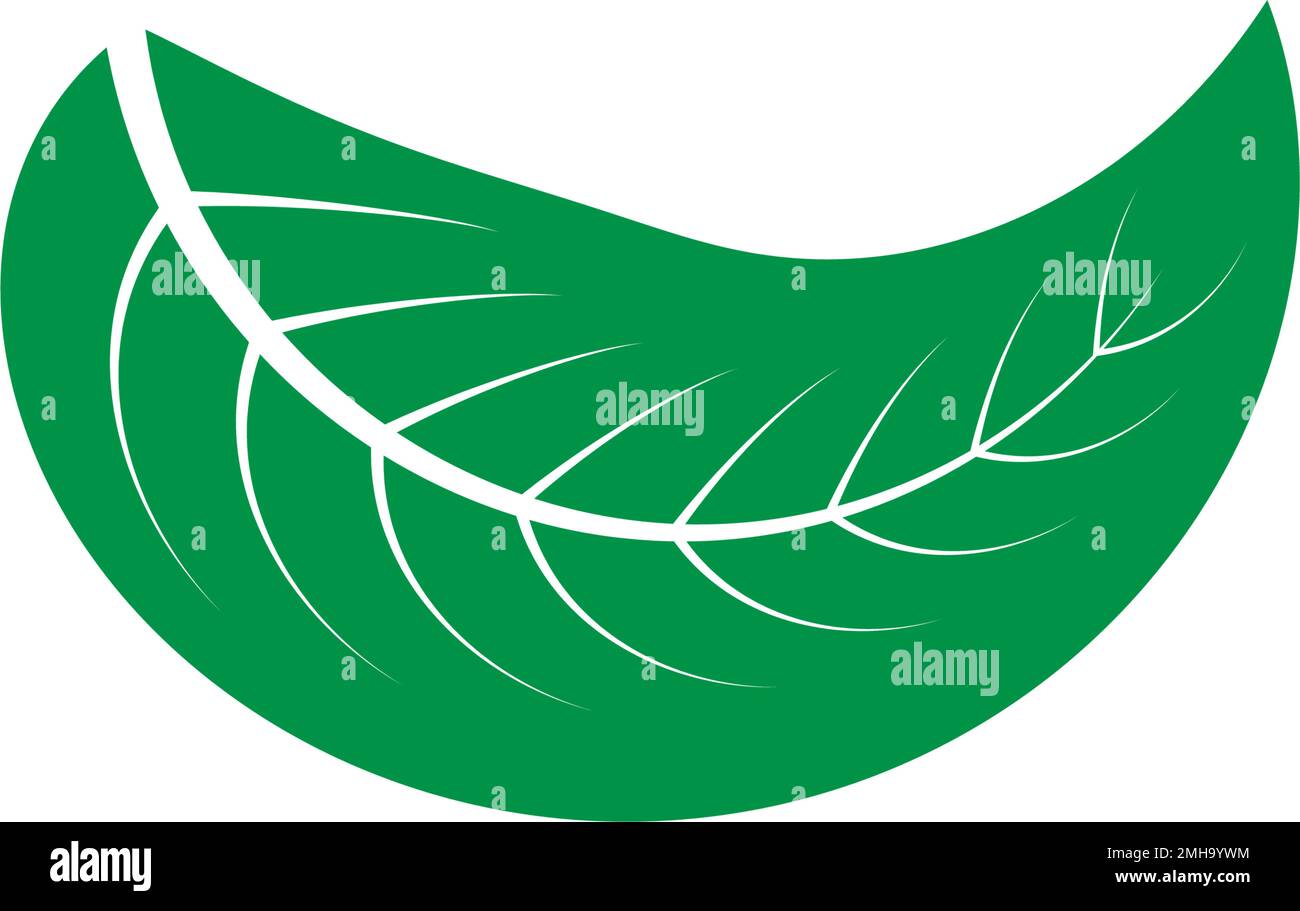 leaf logo icon vektor illustration design Stock Vector Image & Art - Alamy