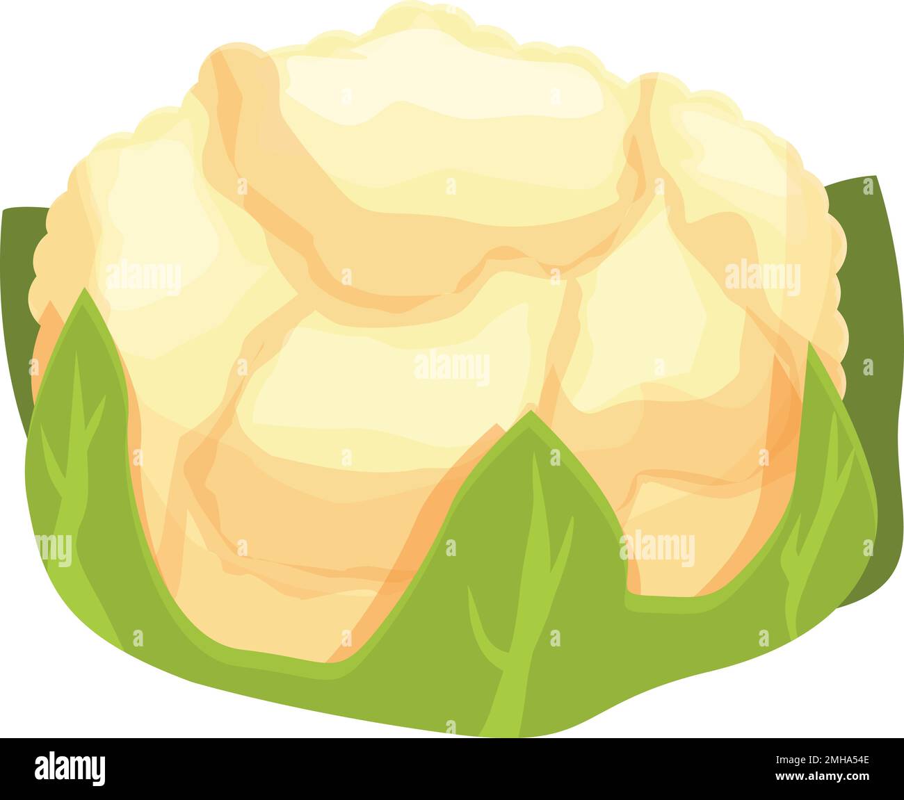 Cole cauliflower icon cartoon vector. Cabbage food. Vegetable organic ...