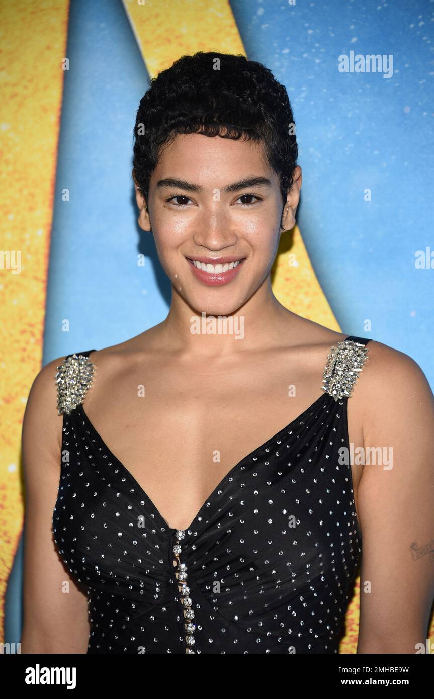 Mette Towley attends the world premiere of "Cats" at Alice Tully Hall ...