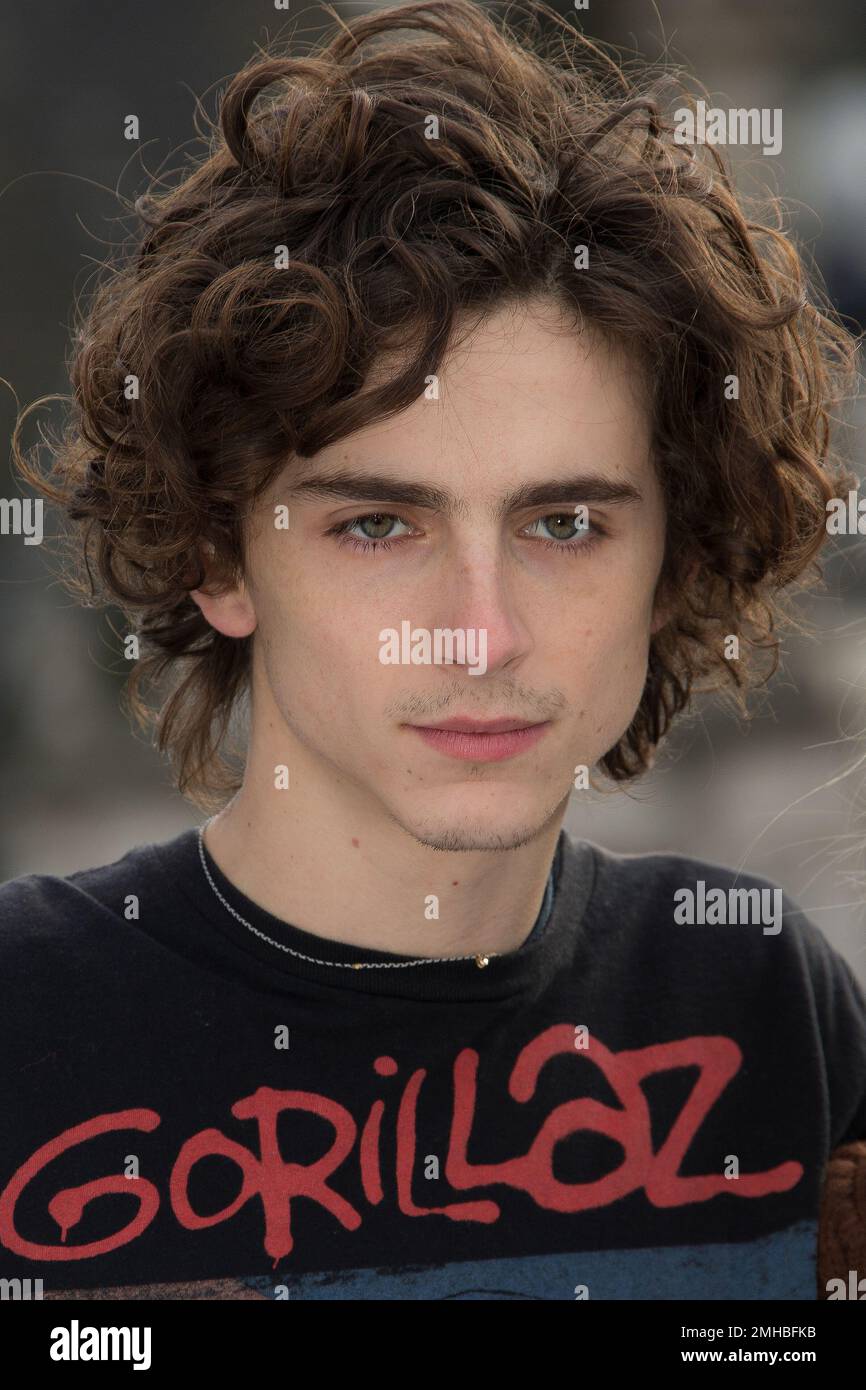 Actor Timothee Chalamet poses for photographers at the photo call of ...
