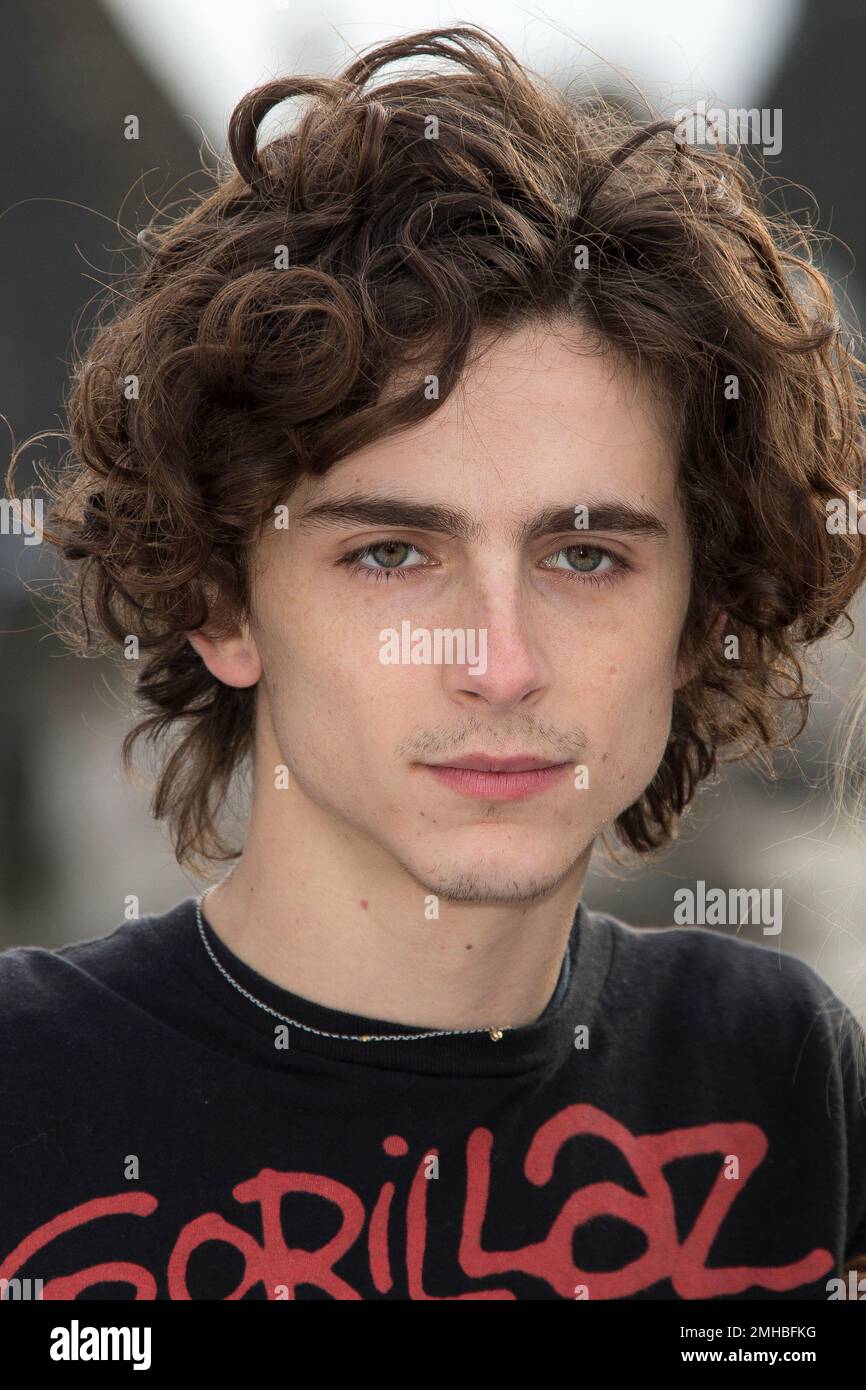 Actor Timothee Chalamet poses for photographers at the photo call of ...