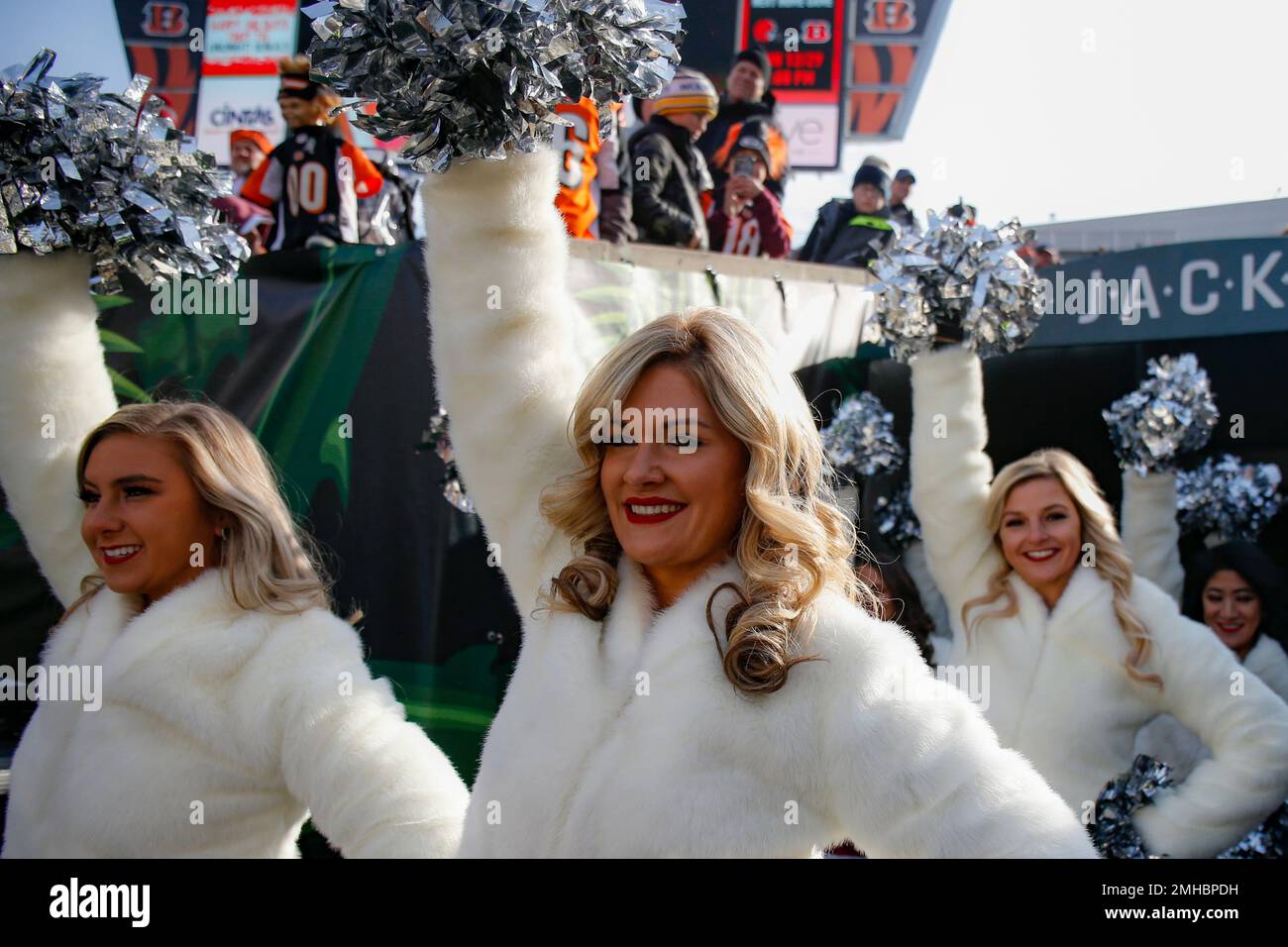 New England Patriots Cheerleaders - 2021 Patriots Cheerleaders Photo by  Mark Johnson