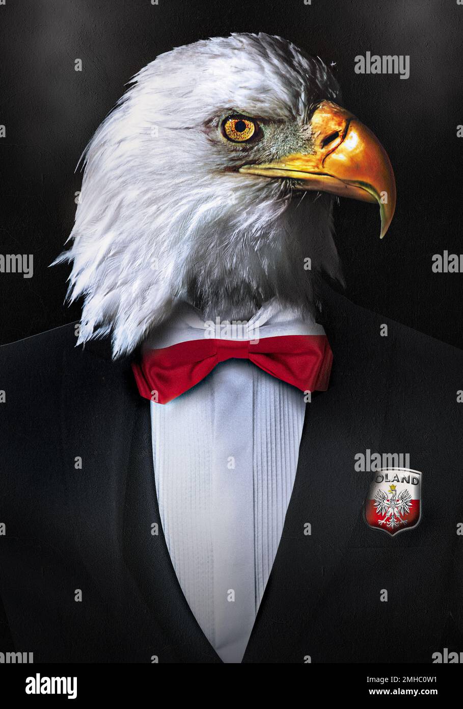 Traditional Eagle Drawing