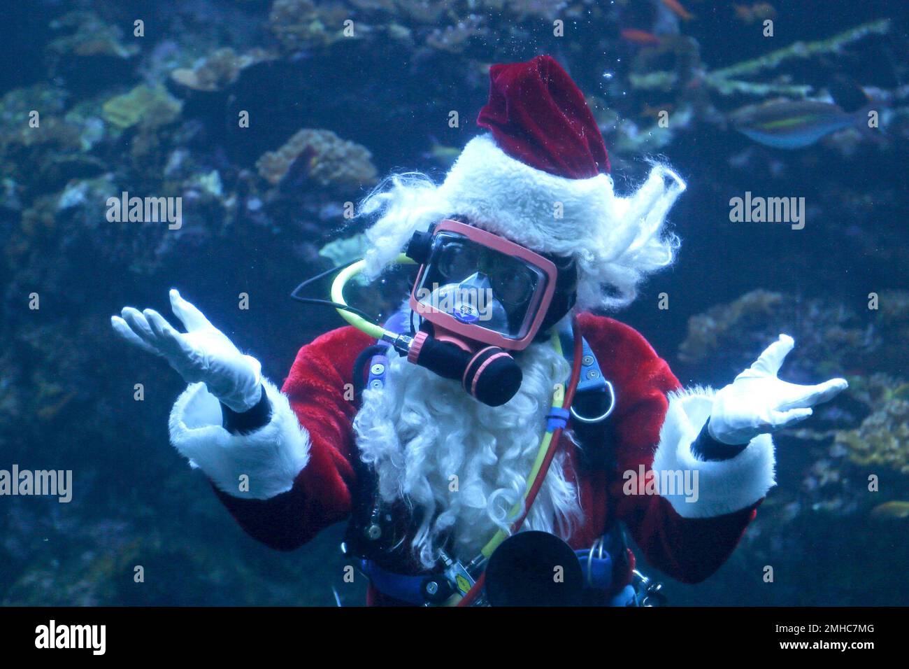 Diver George Bell, dressed as Scuba Santa, gestures while talking with ...