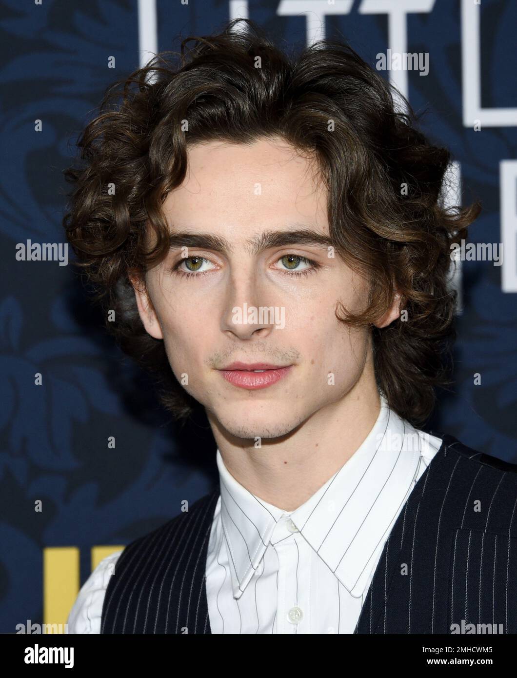 Actor Timothee Chalamet attends the premiere of