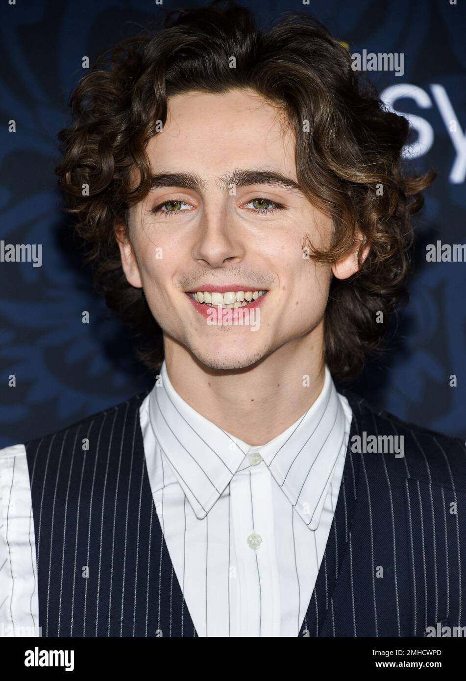 Actor Timothee Chalamet attends the premiere of
