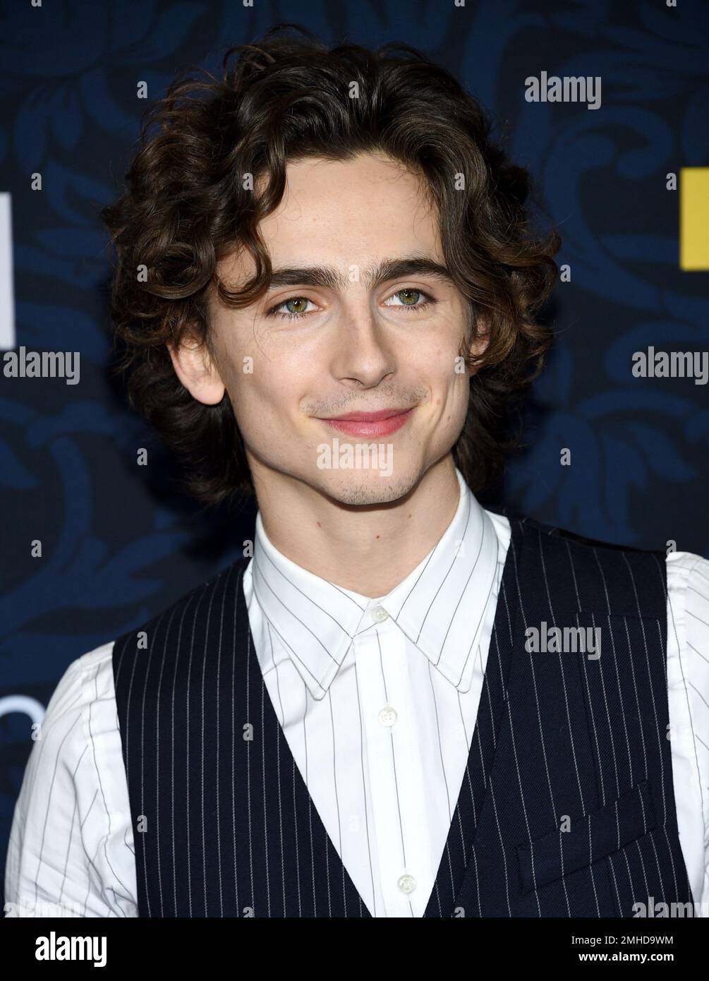 Actor Timothee Chalamet attends the premiere of