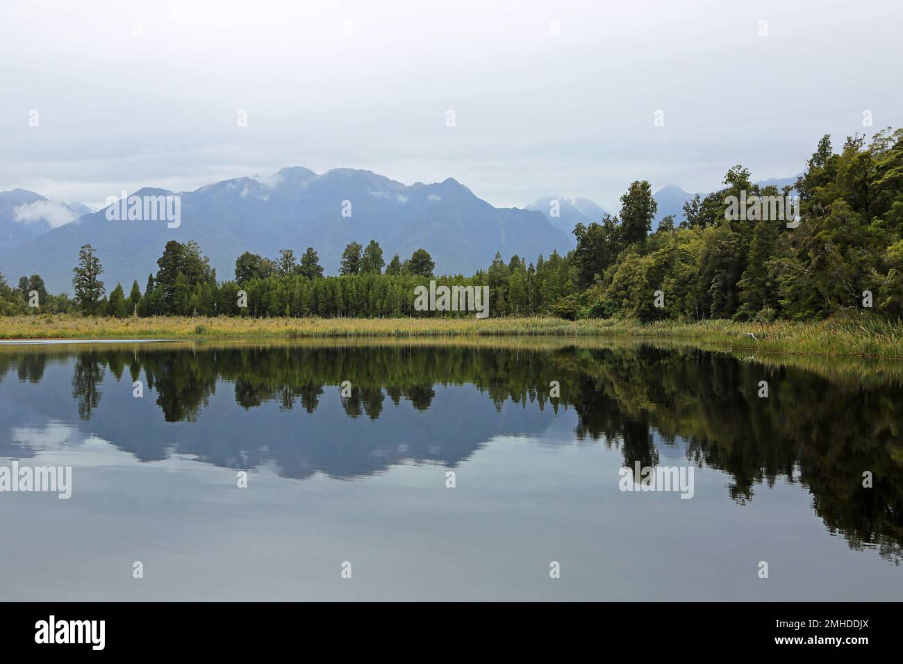 On Matheson Lake, New Zealand Stock Photo