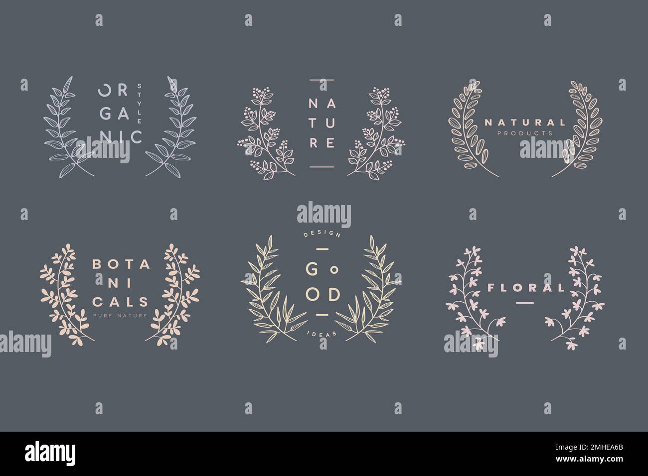 Botanical laurel wreath collection vector Stock Vector