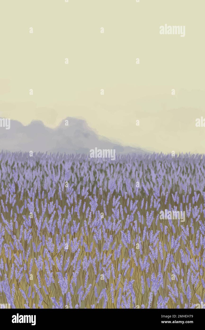 Blooming lavender garden background template vector Stock Vector