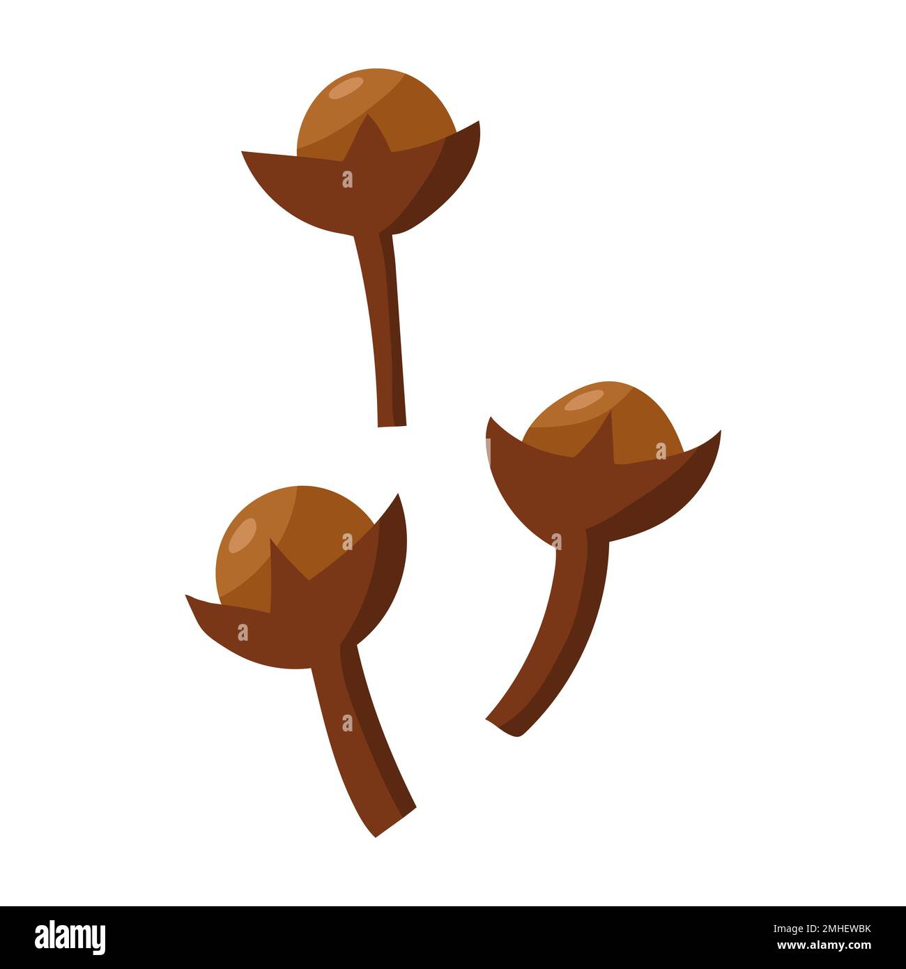 Spices are cloves. vector illustration on a white background Stock ...