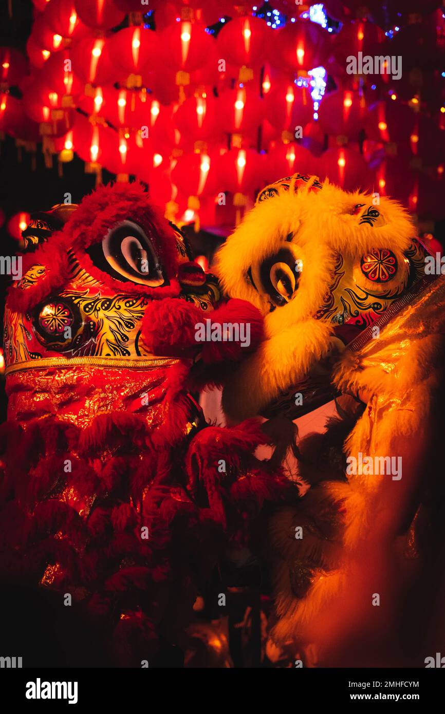 Lion dance in Lunar Festival in Solo Stock Photo - Alamy