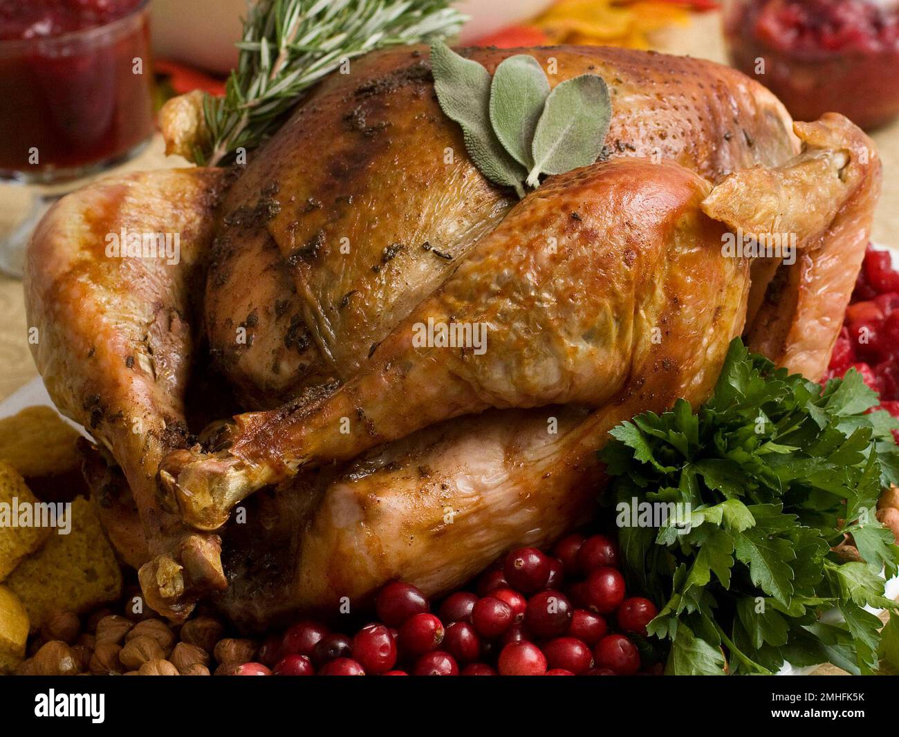 FILE This Nov. 2, 2009, file photo shows a Thanksgiving turkey in Concord, N.H. Food safety