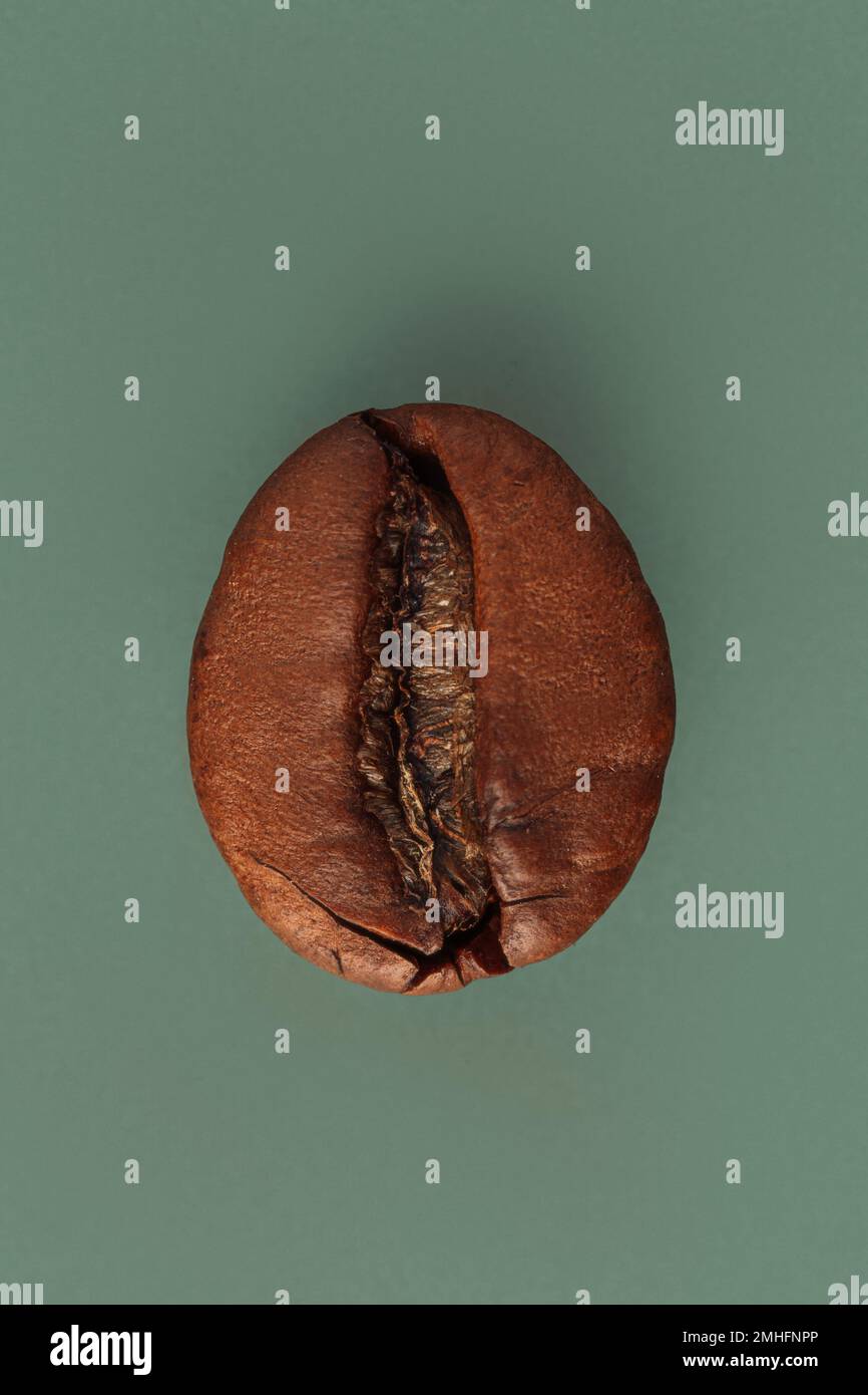 Macro photography of roasted coffee bean on green background Stock ...