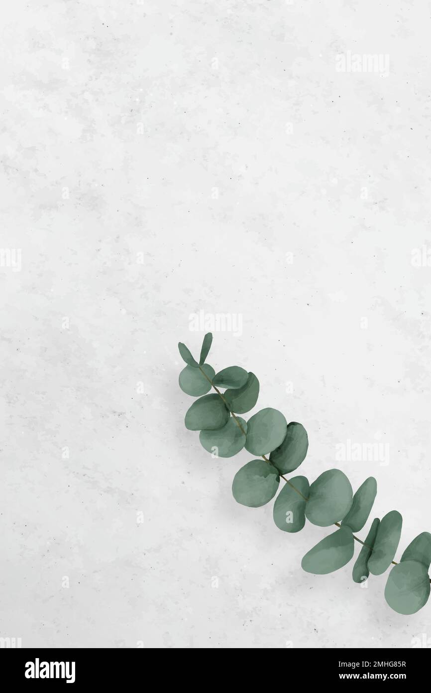 Blank eucalyptus frame design vector Stock Vector Image &amp; Art - Alamy