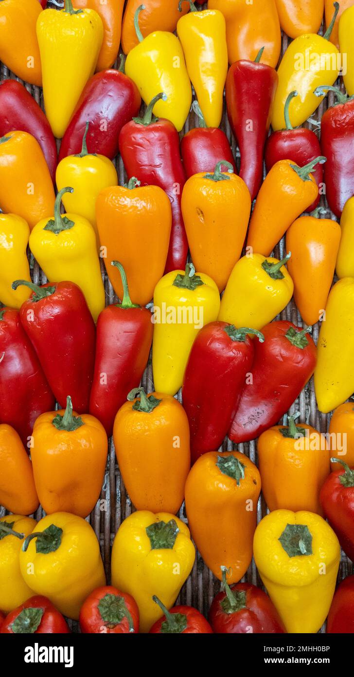 freshness group of little yellow green and red peppers background Stock ...