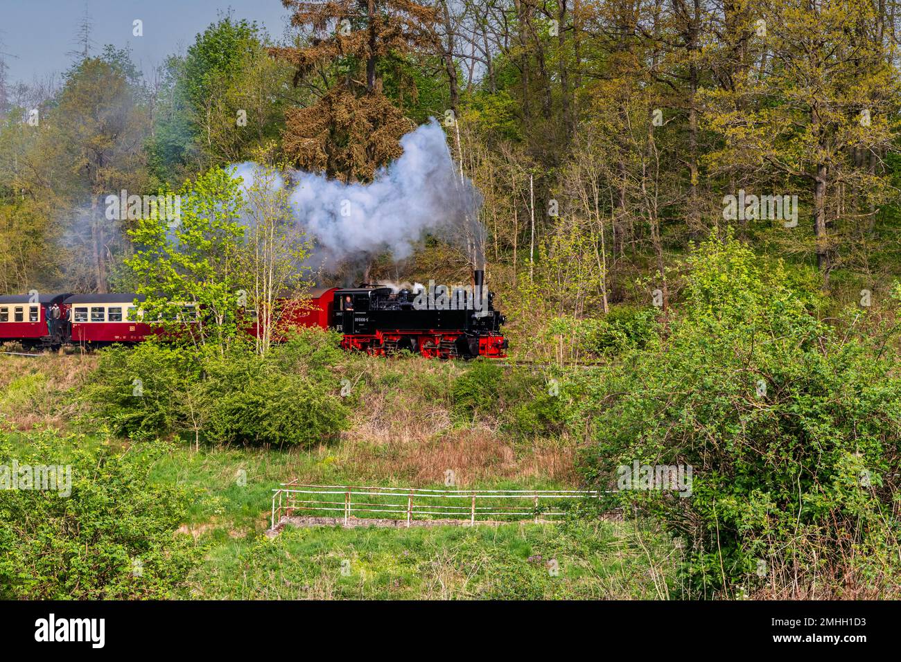 Selketalbahn bei Harzgerode im Harz, Stock Photo