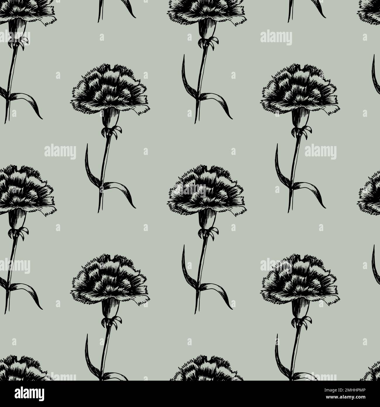 Hand drawn carnation vector seamless pattern Stock Vector Image & Art