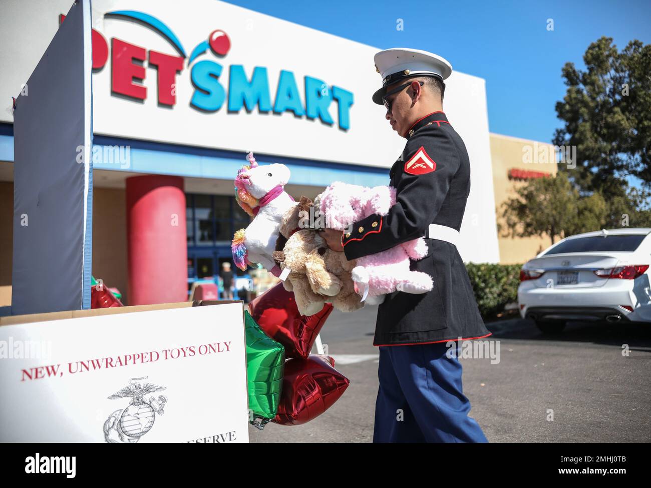 Petsmart plush toys hotsell