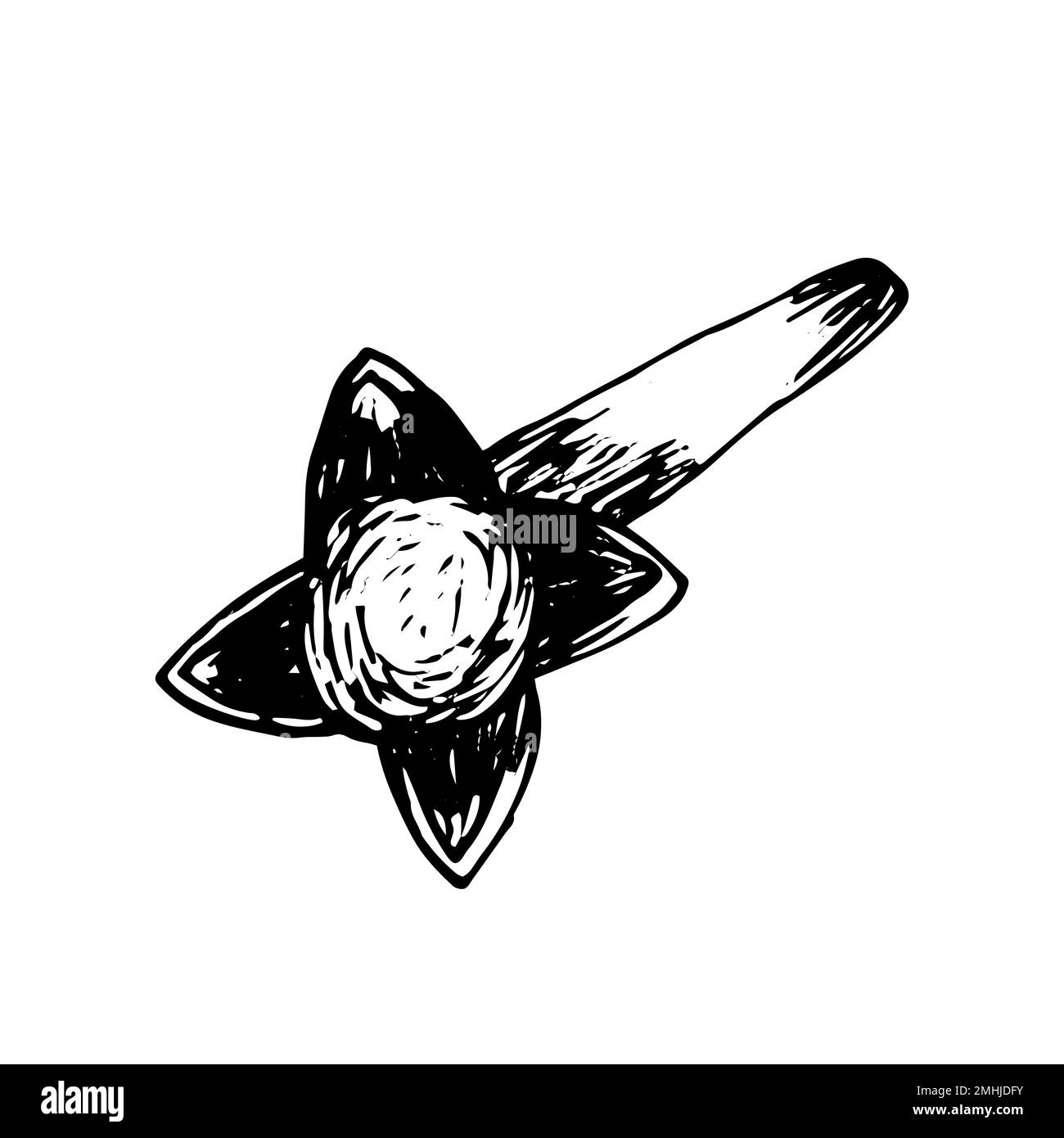 Vector clove sketch Stock Vector Image & Art Alamy