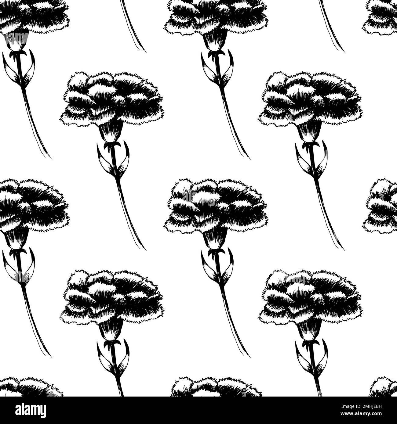 Hand drawn carnation vector seamless pattern Stock Vector Image & Art