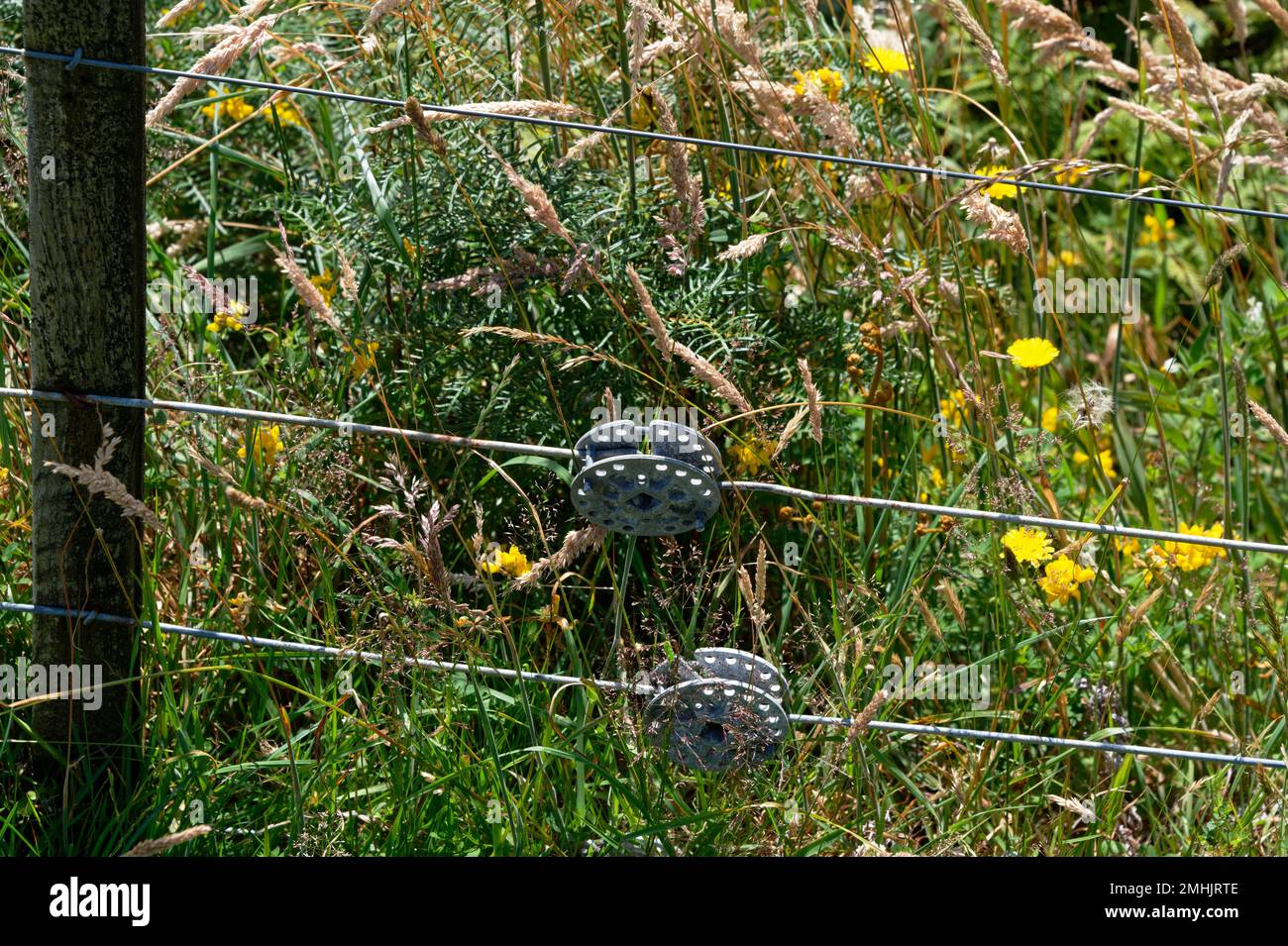 Fence strainers are used on wire fences to keep the wire taught. The wire is stapled to the post Stock Photo