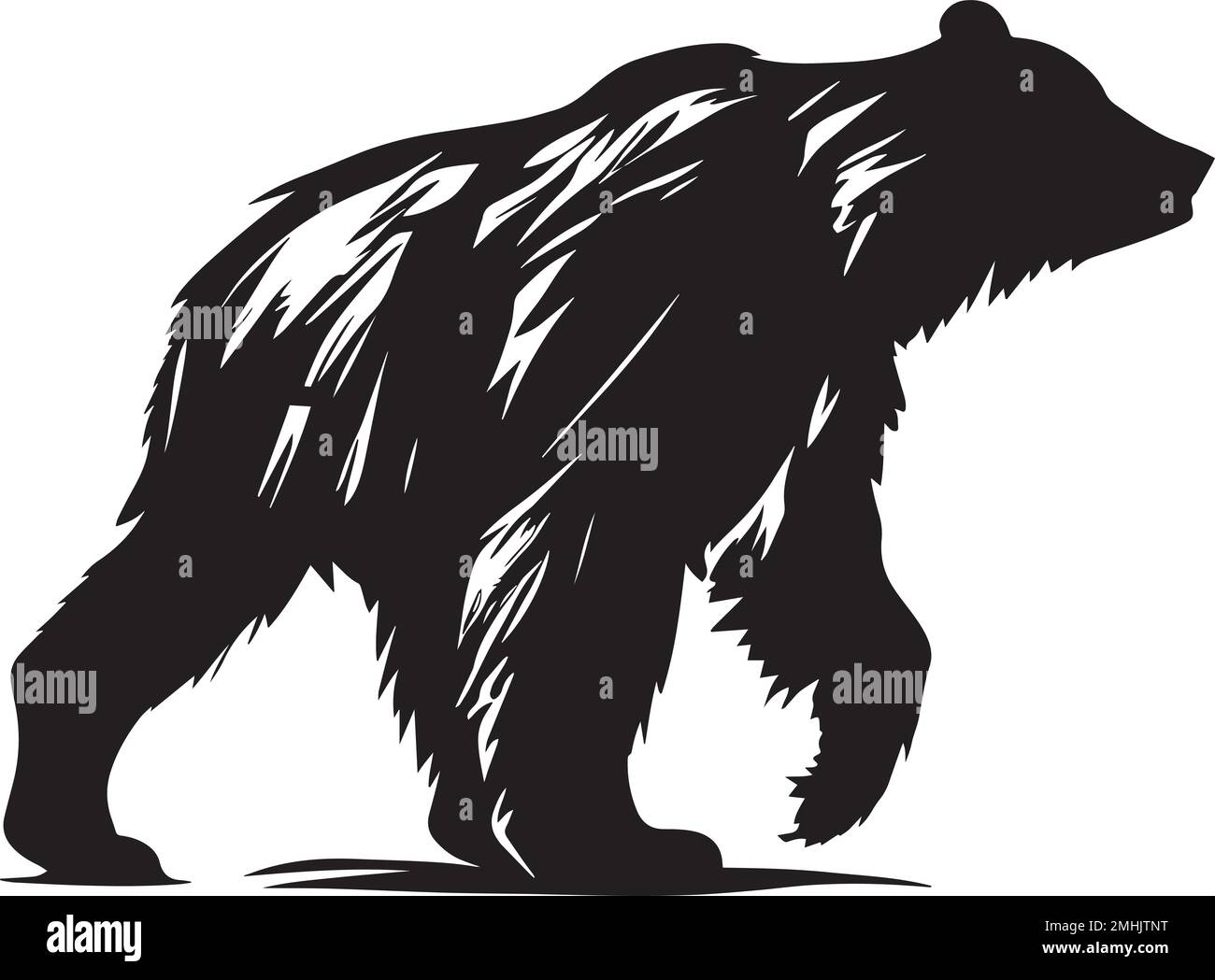 A vector of a walking black bear isolated on a white background Stock ...